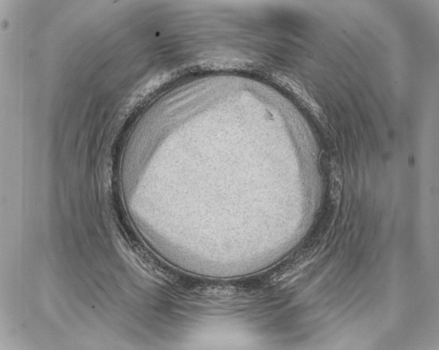 X0000087740631200706041037