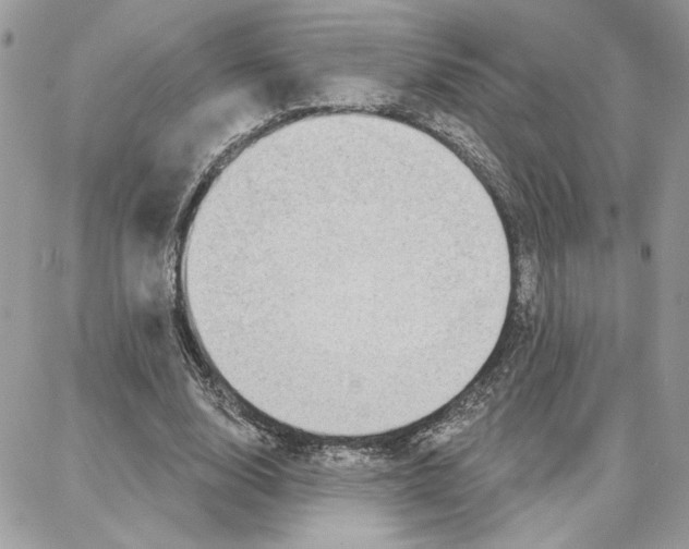 X0000087740632200706041037