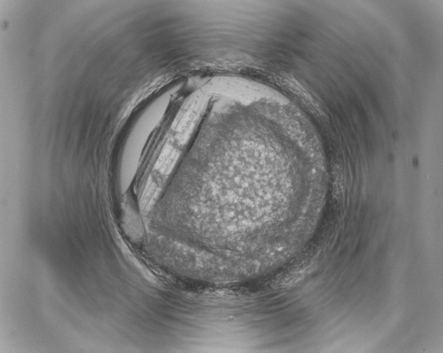 X0000087740634200706041037