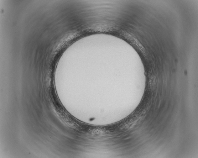 X0000087740635200706041037