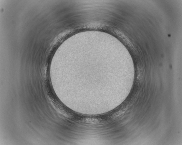 X0000087740636200706041037