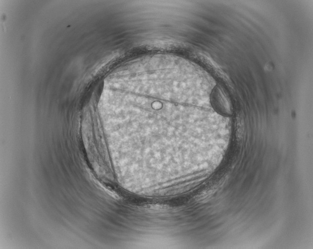 X0000087740637200706041037