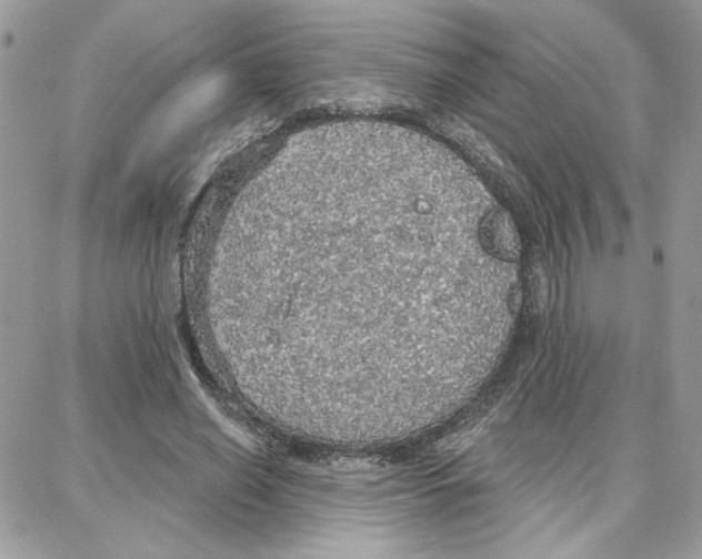 X0000087740638200706041038