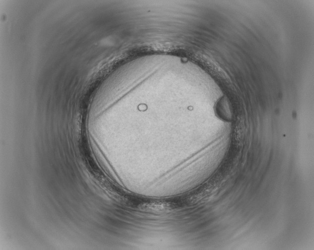 X0000087740639200706041038