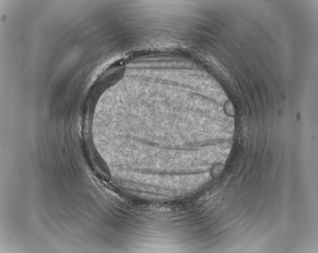 X0000087740640200706041038