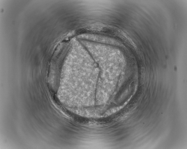 X0000087740641200706041038