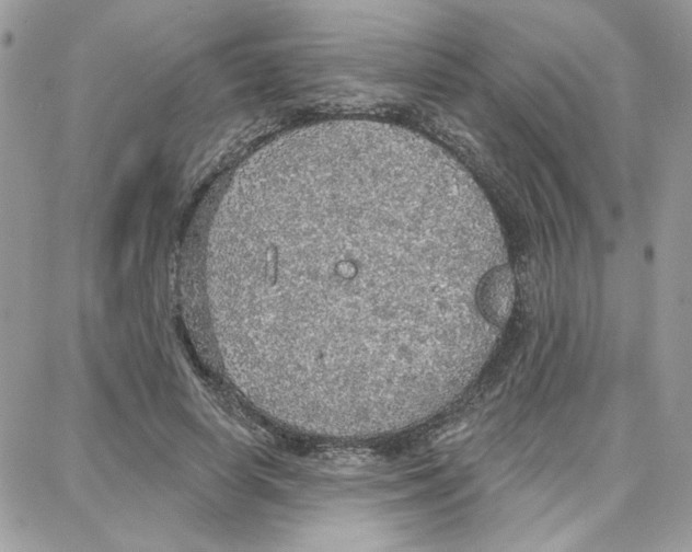 X0000087740642200706041038