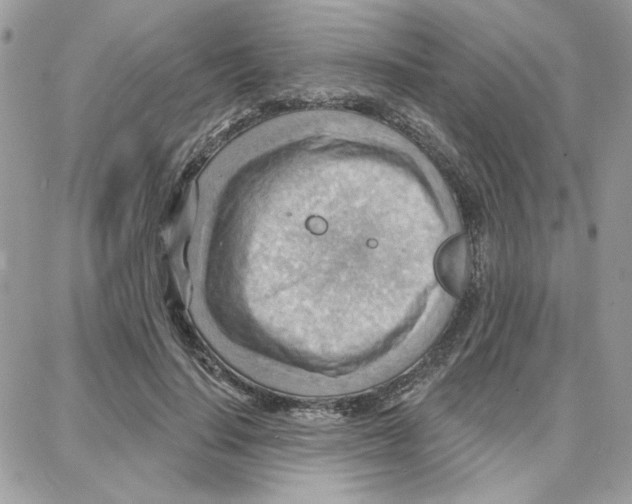 X0000087740644200706041038