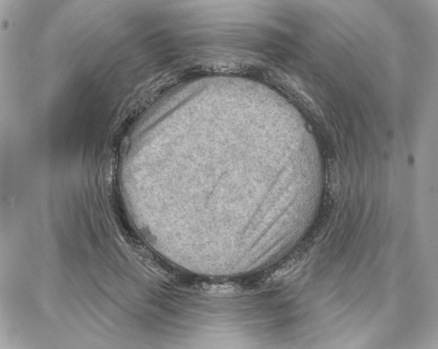 X0000087740645200706041038