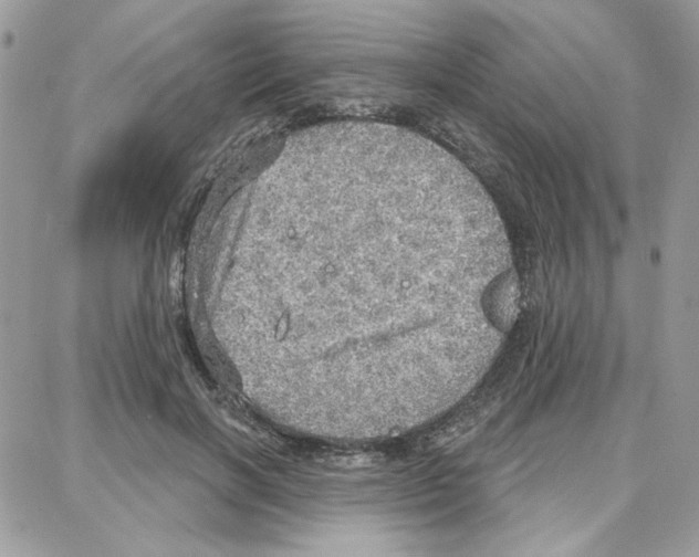 X0000087740646200706041038