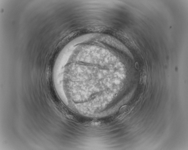 X0000087740647200706041038