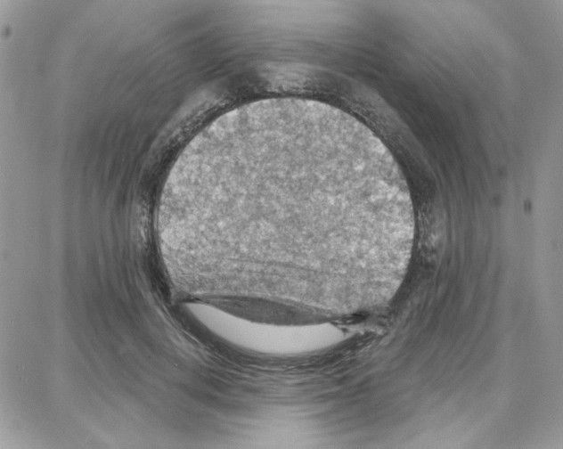 X0000087740648200706041038