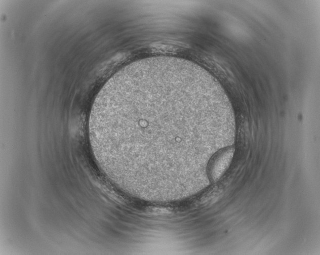 X0000087740649200706041038