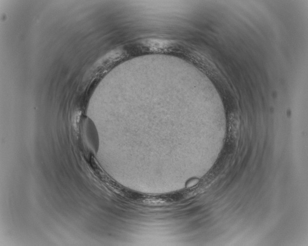 X0000087740650200706041038