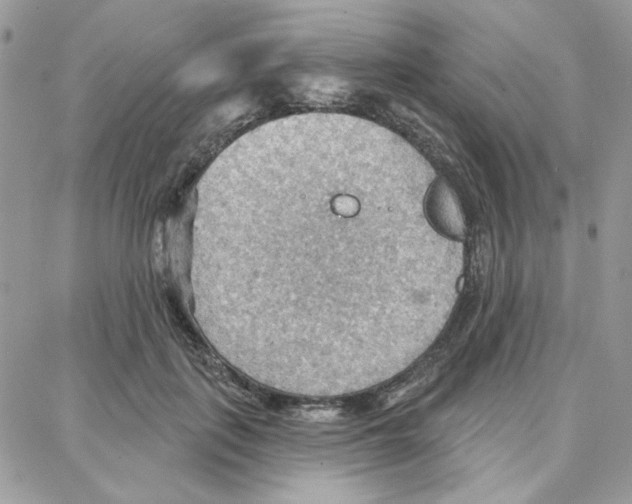 X0000087740651200706041038