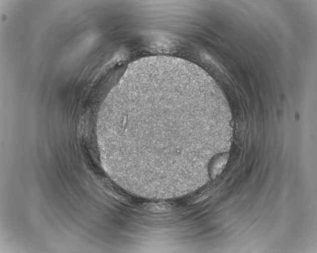 X0000087740652200706041038