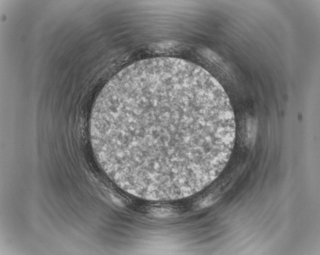 X0000087740653200706041038