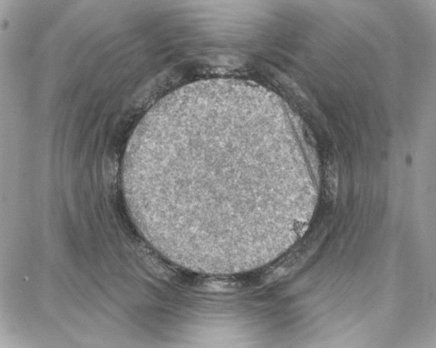 X0000087740657200706041038