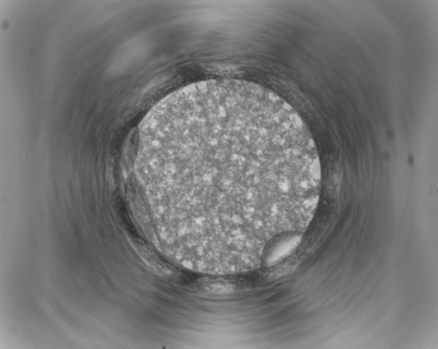 X0000087740658200706041038