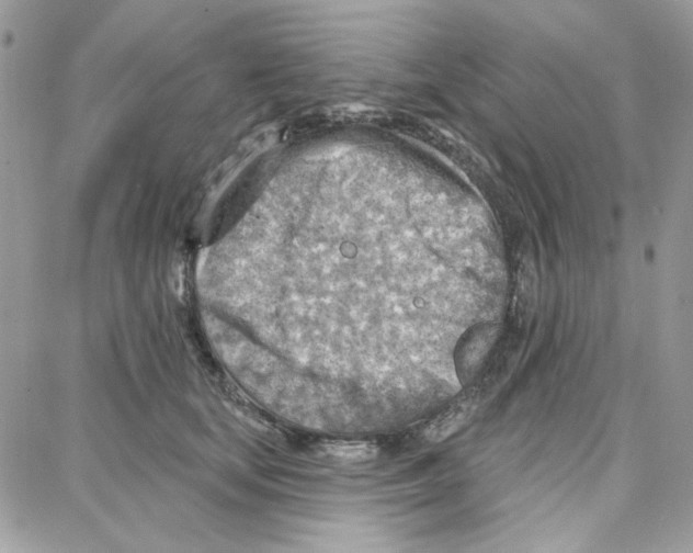 X0000087740659200706041038