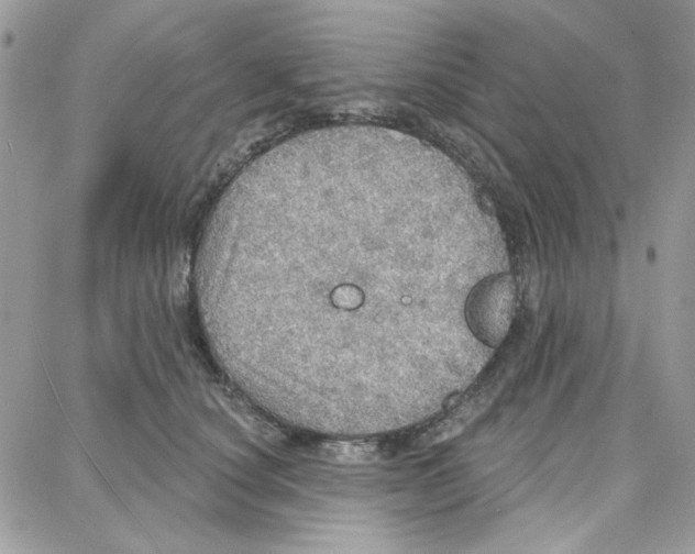 X0000087740660200706041038