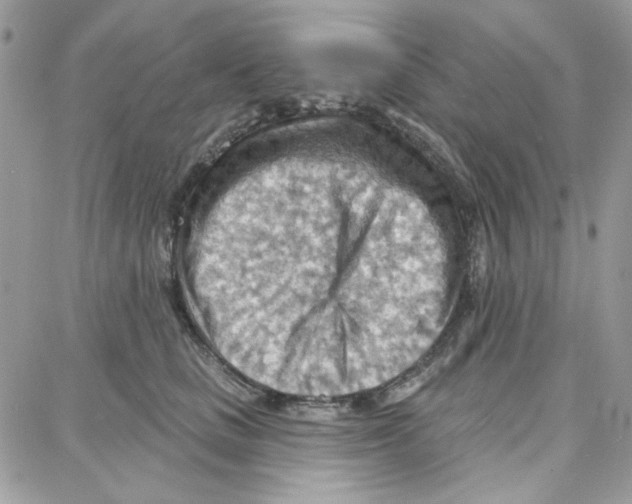 X0000087740661200706041038