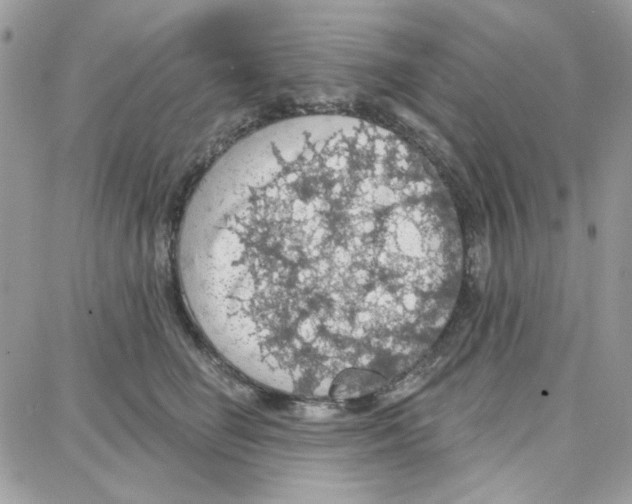 X0000087740662200706041038