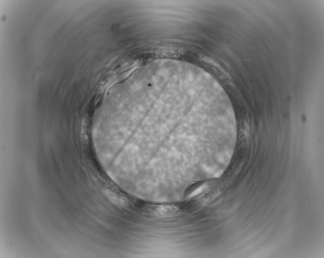 X0000087740663200706041038