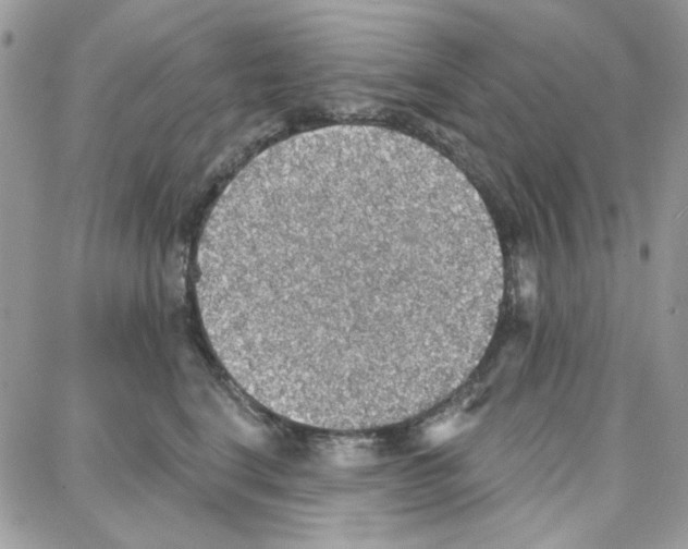 X0000087740664200706041038