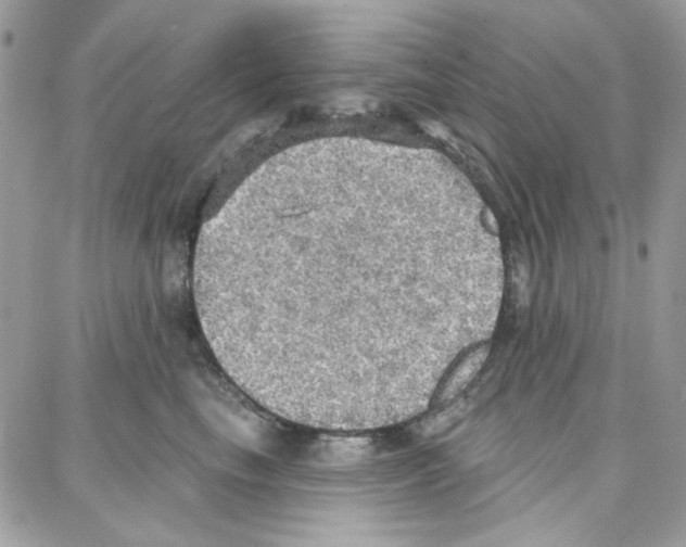 X0000087740665200706041038