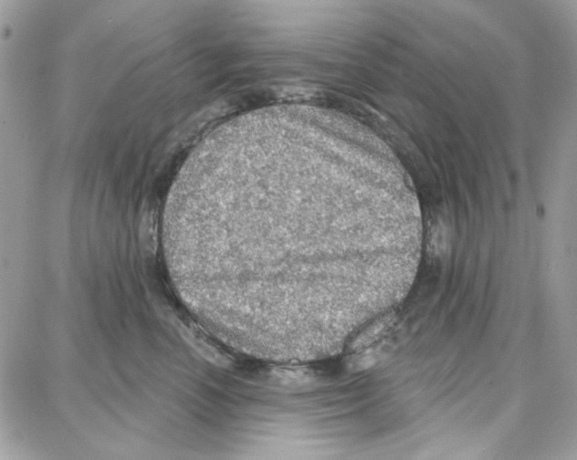 X0000087740666200706041038