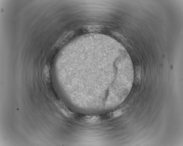 X0000087740667200706041038