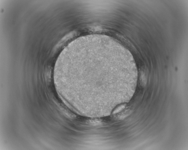 X0000087740668200706041038