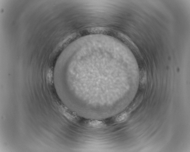 X0000087740669200706041038