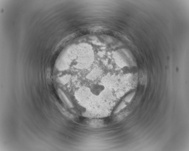 X0000087740670200706041038