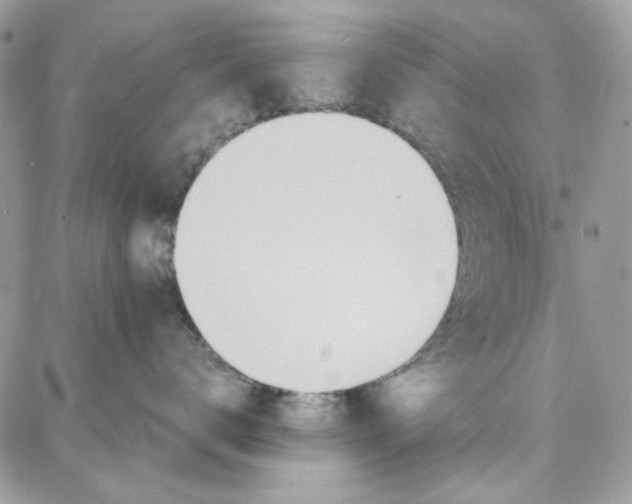 X0000087740672200706041038