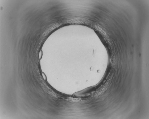 X0000087740673200706041037