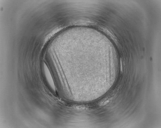 X0000087740675200706041037