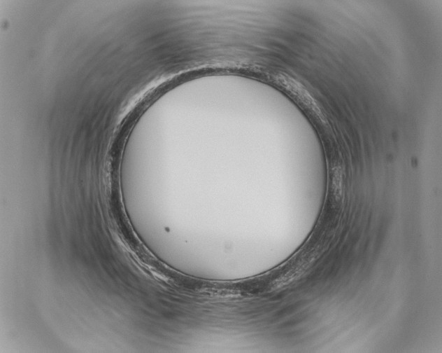 X0000087740676200706041037