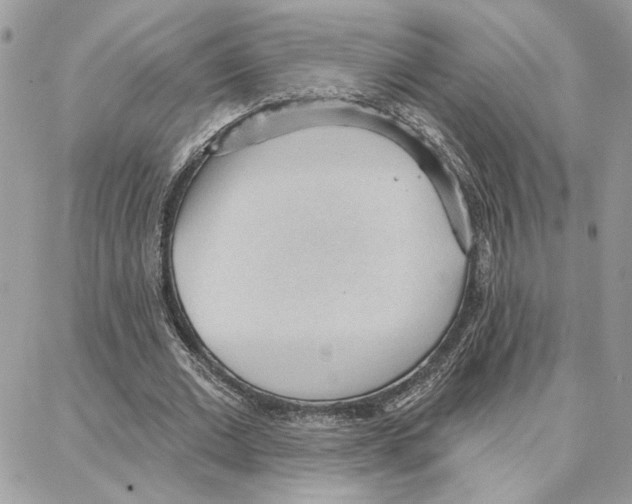 X0000087740677200706041037