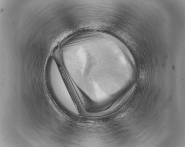 X0000087740678200706041037