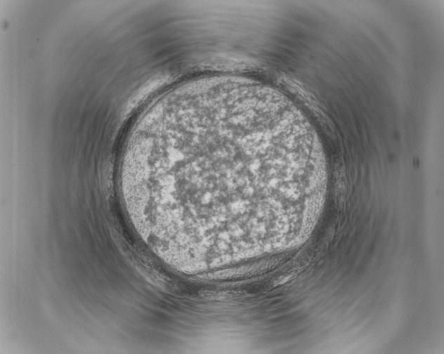 X0000087740679200706041037