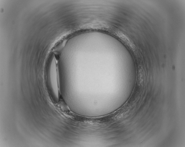 X0000087740680200706041037