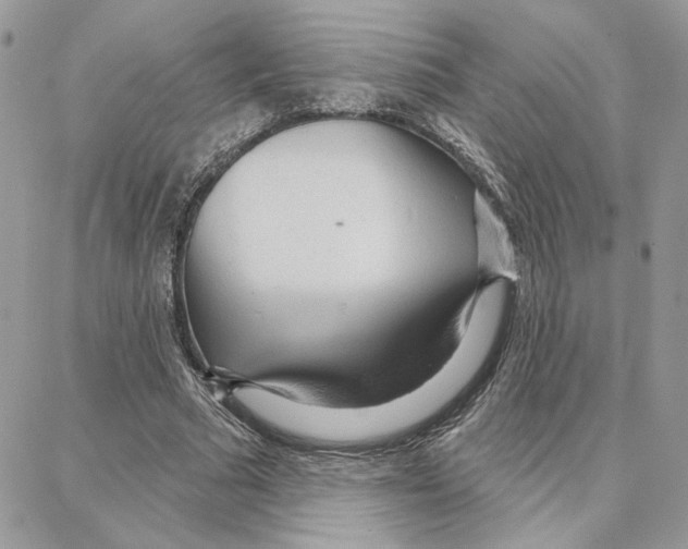 X0000087740681200706041037