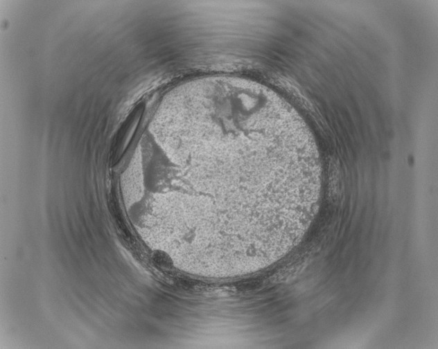 X0000087740683200706041037