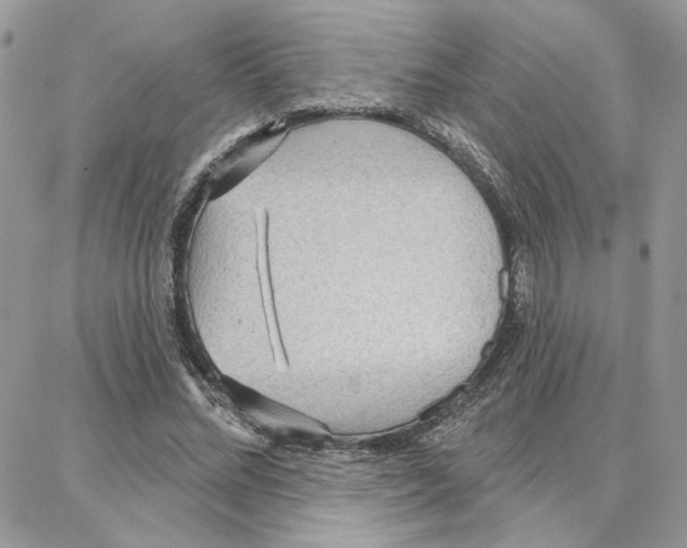 X0000087740684200706041037