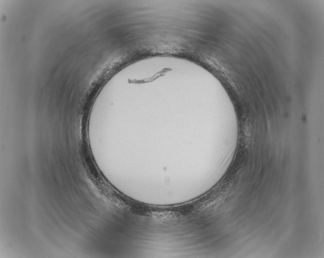 X0000087740686200706041037