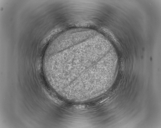 X0000087740687200706041037