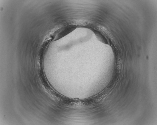 X0000087740688200706041037