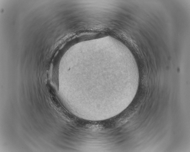 X0000087740689200706041037